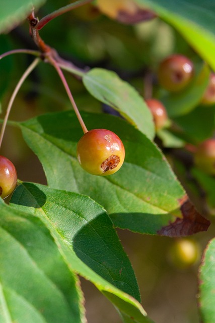 并没有亲自 并没有亲自