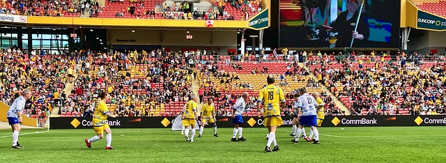 他们必须在 他们必须在