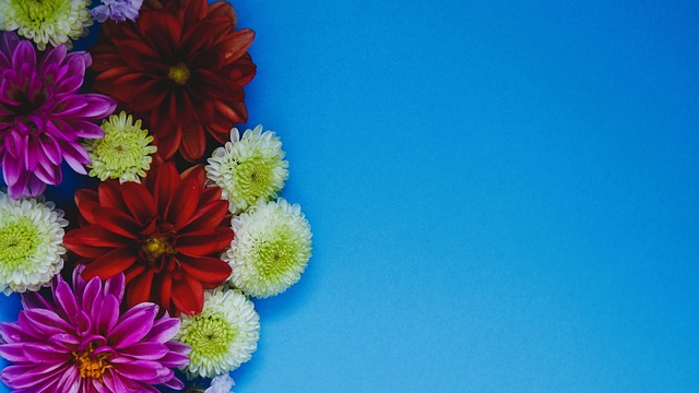 他的手臂力 他的手臂力