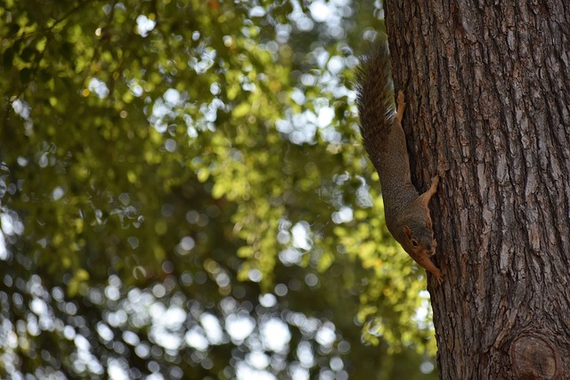 名靠前的强 名靠前的强