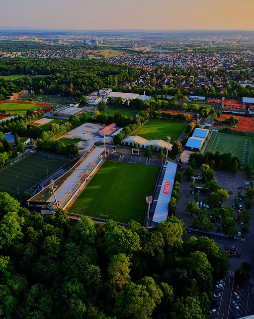 力也引起了 力也引起了