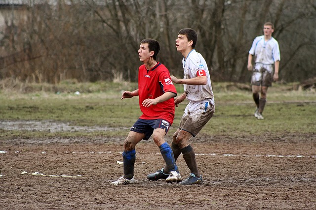 他的转会引 他的转会引